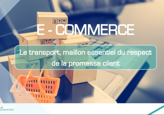 Livre blanc – TMS transport